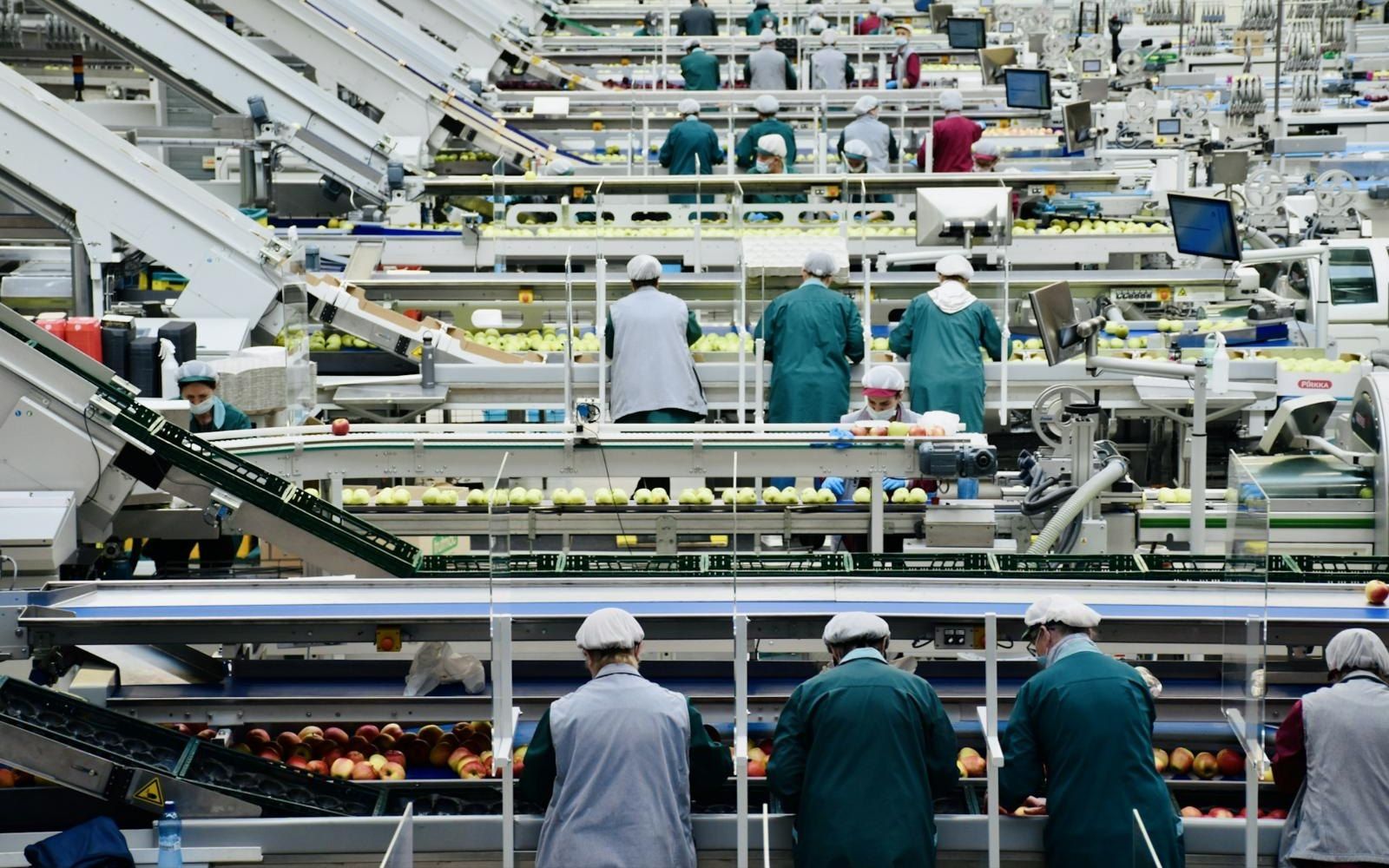 食品工場の製造ラインで作業する従業員（イメージ）